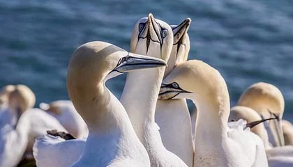 黔西高价上海医保提取2025的最新政策(2025年黔西上海医保怎么提取现金分享)