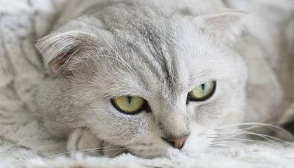 黔西高价上海医保提取2025的最新政策(2025年黔西上海医保怎么提取现金分享)