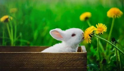 黔西高价社保卡有效期查询方式的最新政策(2025年黔西高价社保卡有效期查询方式是什么分享)